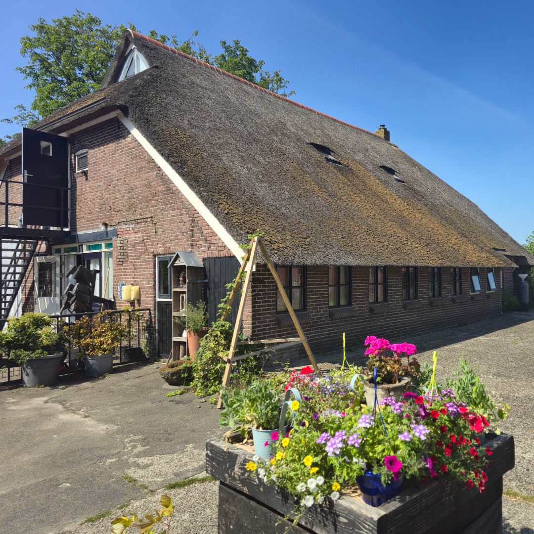 Galerij foto 1